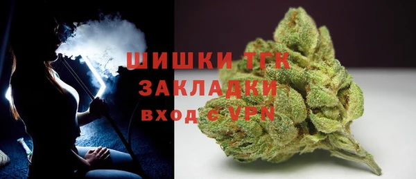 apvp Новозыбков